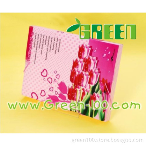New Folding Plastic Packaging Box